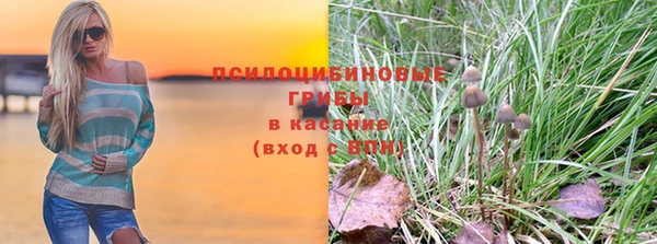 герыч Бронницы