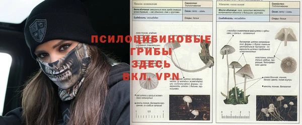 первитин Богородск