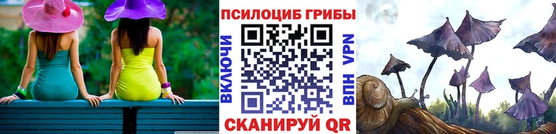Псилоцибиновые грибы Magic Shrooms  наркошоп  KRAKEN онион  Великие Луки 